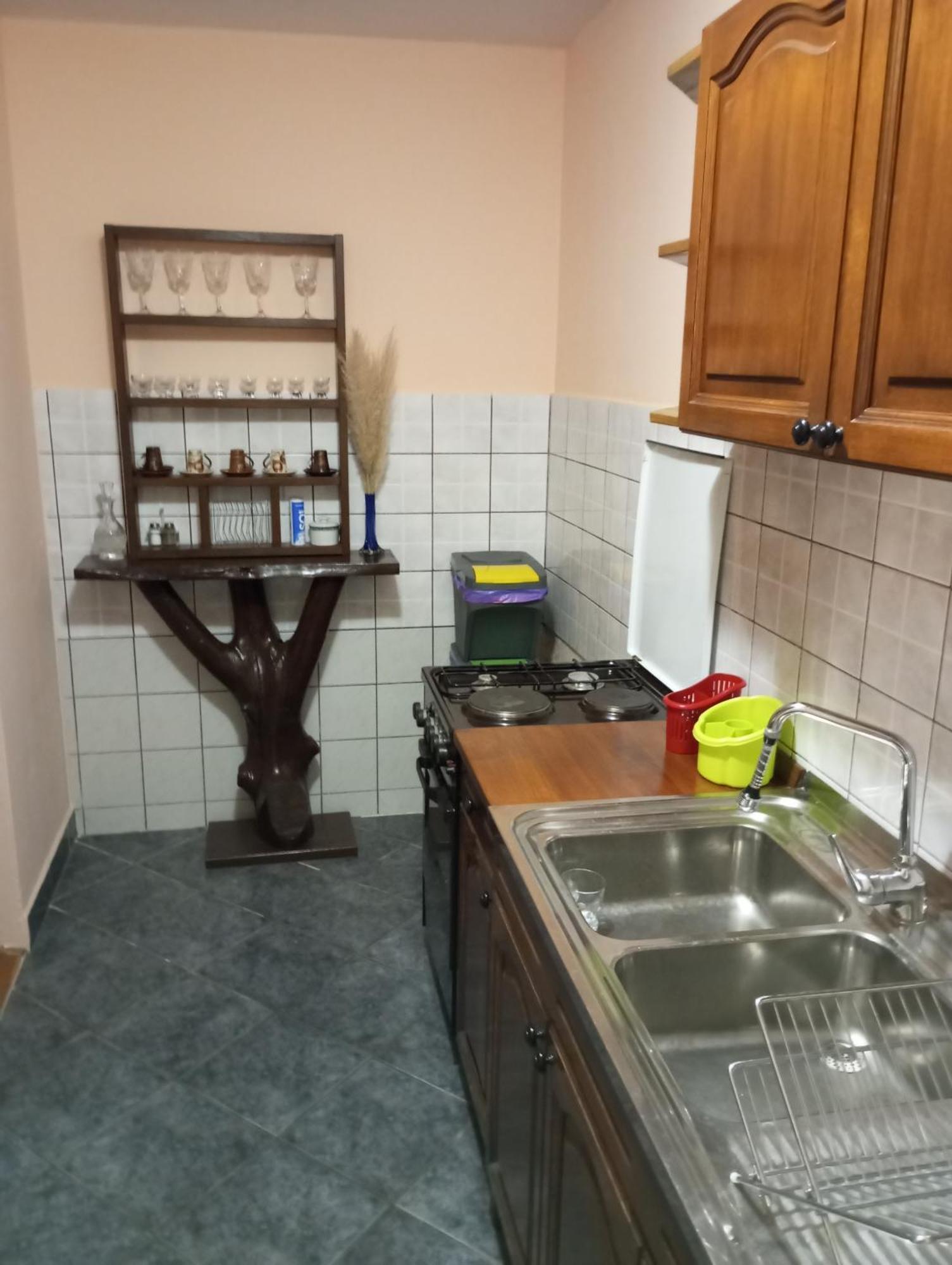 Guesthouse Pavlicic Dreznik Grad Exterior photo
