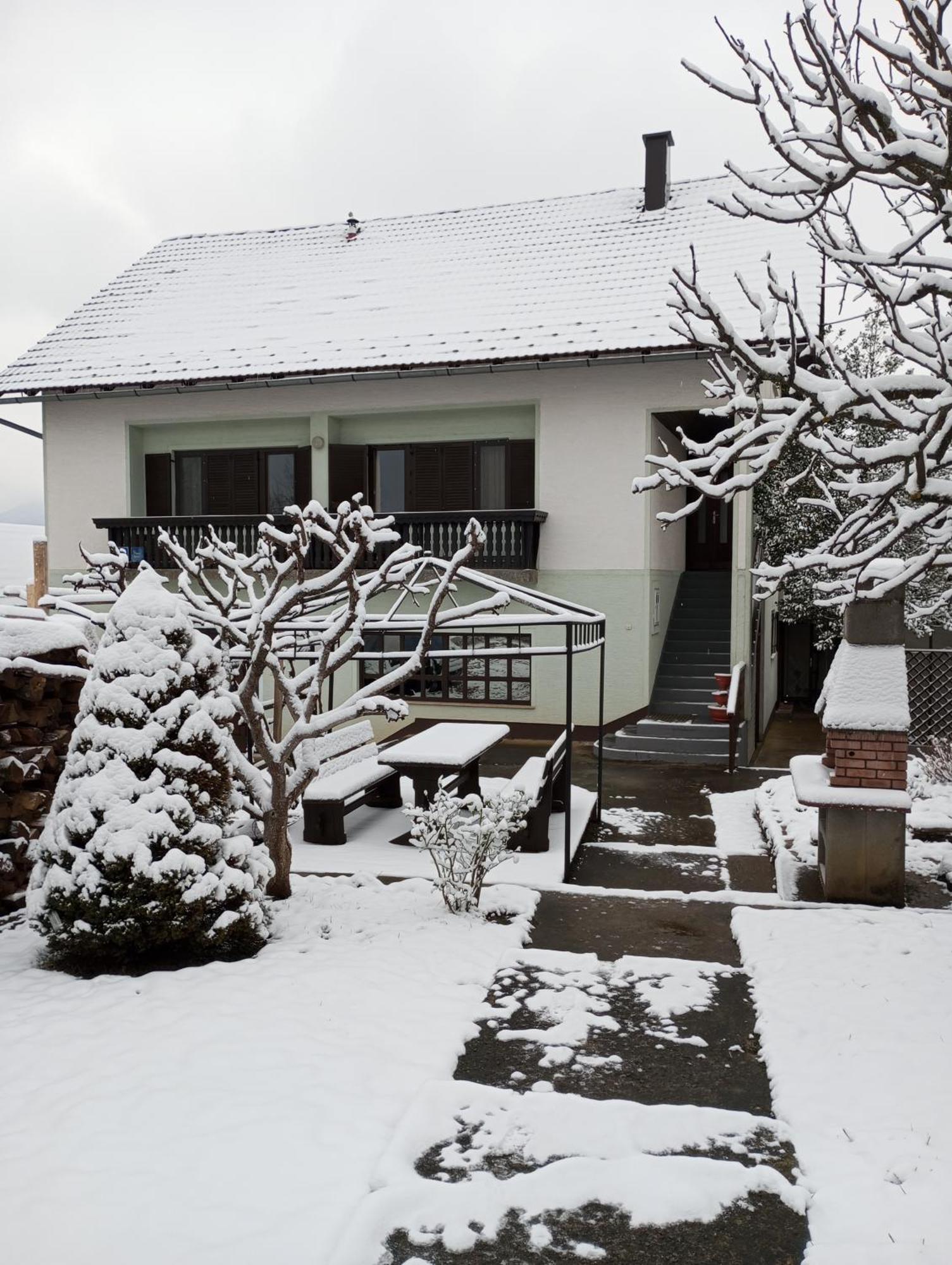 Guesthouse Pavlicic Dreznik Grad Exterior photo