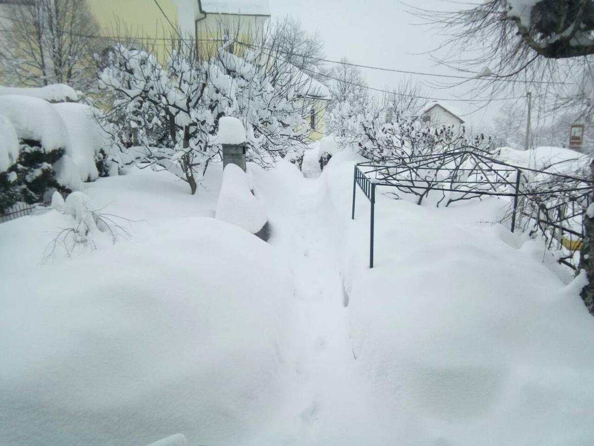 Guesthouse Pavlicic Dreznik Grad Exterior photo